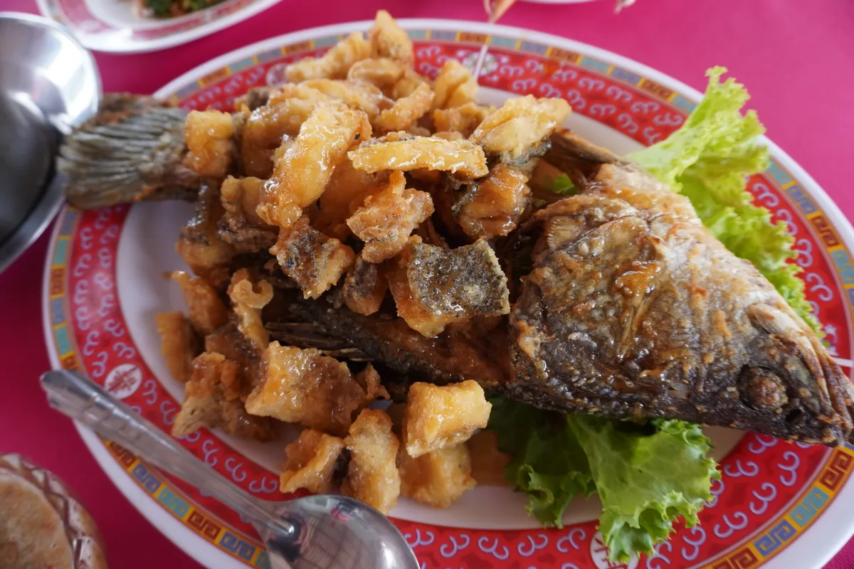 ปลากะพงตัวใหญ่