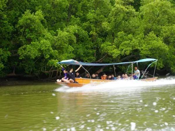 กิจกรรมล่องเรือชมป่าชายเลน
