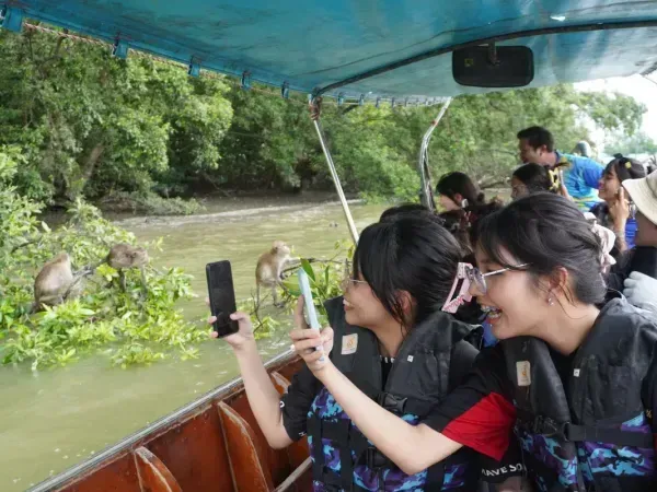 ฝูงลิงแสมริมป่าชายเลนคลองโคน