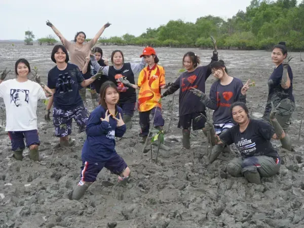 ดูคนปลูกป่าชายเลน