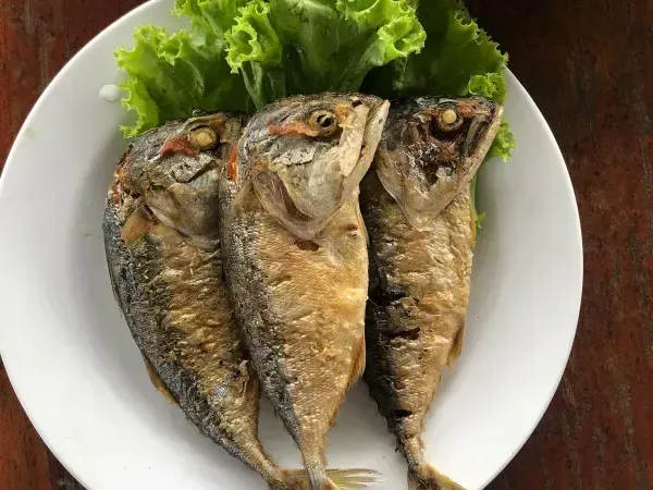 ปลาทูทอด