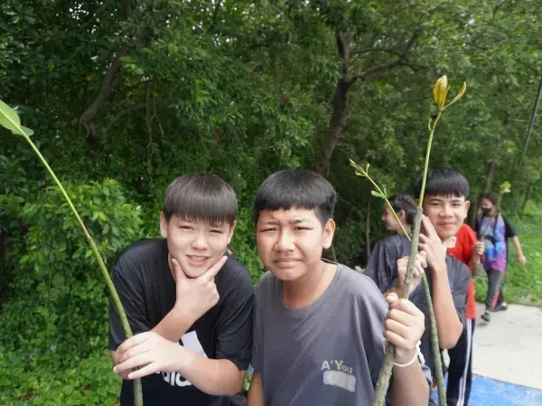 ป่าชายเลนคลองโคน