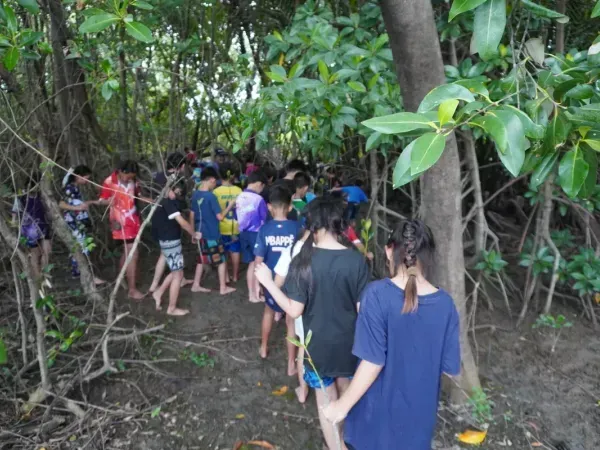 เดินปลูกป่าชายเลน