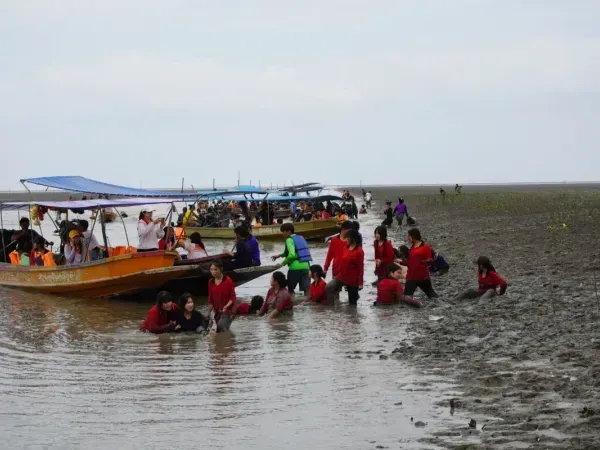 ล่องเรือชมลิงแสมคลองโคน